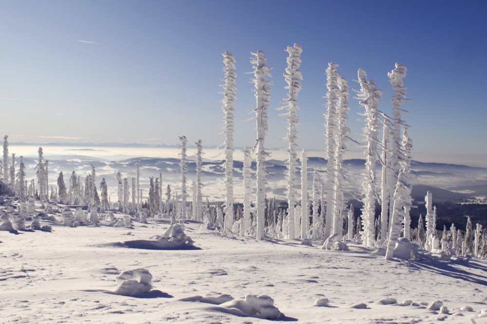 Winter - Schneelandschaft_pics_kartub-pixabay